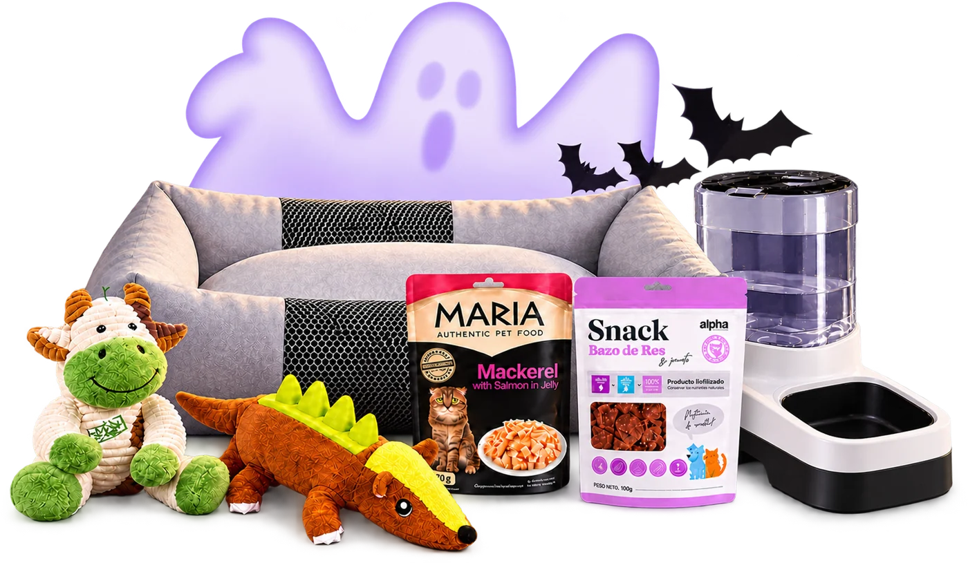 Cama, juguetes, snacks y comedero con decoración de Halloween